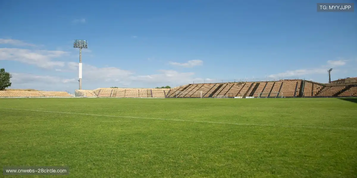 🎤 顶流解说天团坐镇,深度拆解每一记绝杀,让你看懂比赛内核!🧠